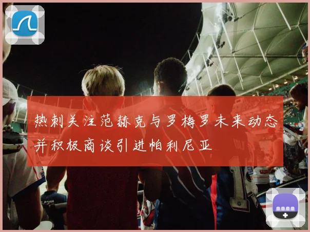 热刺关注范赫克与罗梅罗未来动态并积极商谈引进帕利尼亚