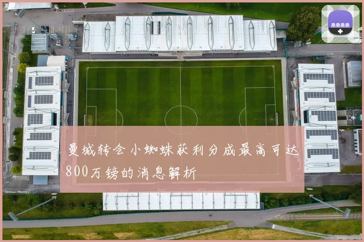 曼城转会小蜘蛛获利分成最高可达800万镑的消息解析
